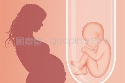 http://zhengzhou.hy-ly.com/post/208.html|郑州人工试管