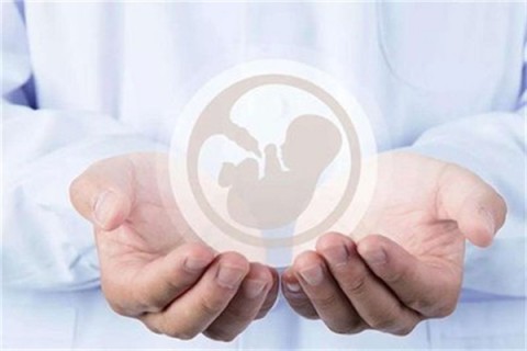 http://zhengzhou.hy-ly.com/post/203.html|郑州试管助孕