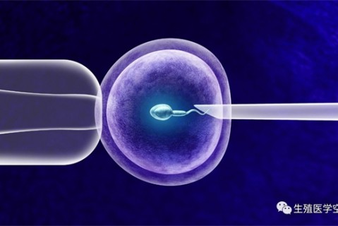 女人郑州代生孩子的最佳年龄段 一辈子生几个孩子最好